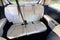 2025 Kia Carnival SX